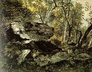 Study from Rocks and Trees
